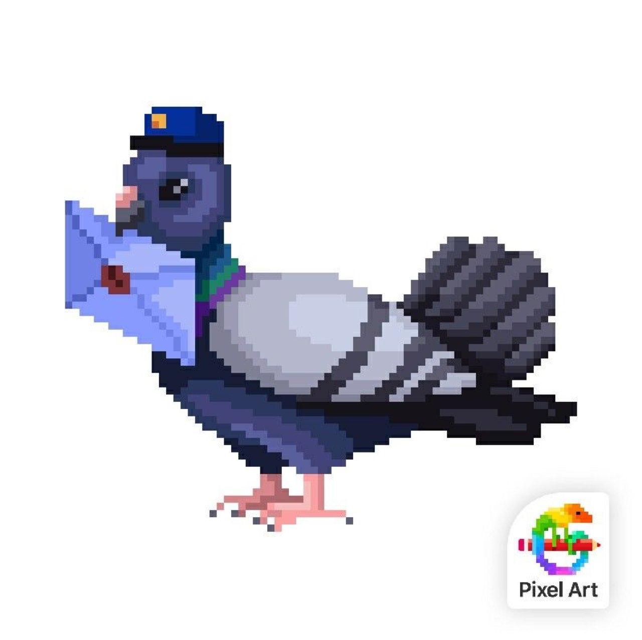 pigeon pen-pal