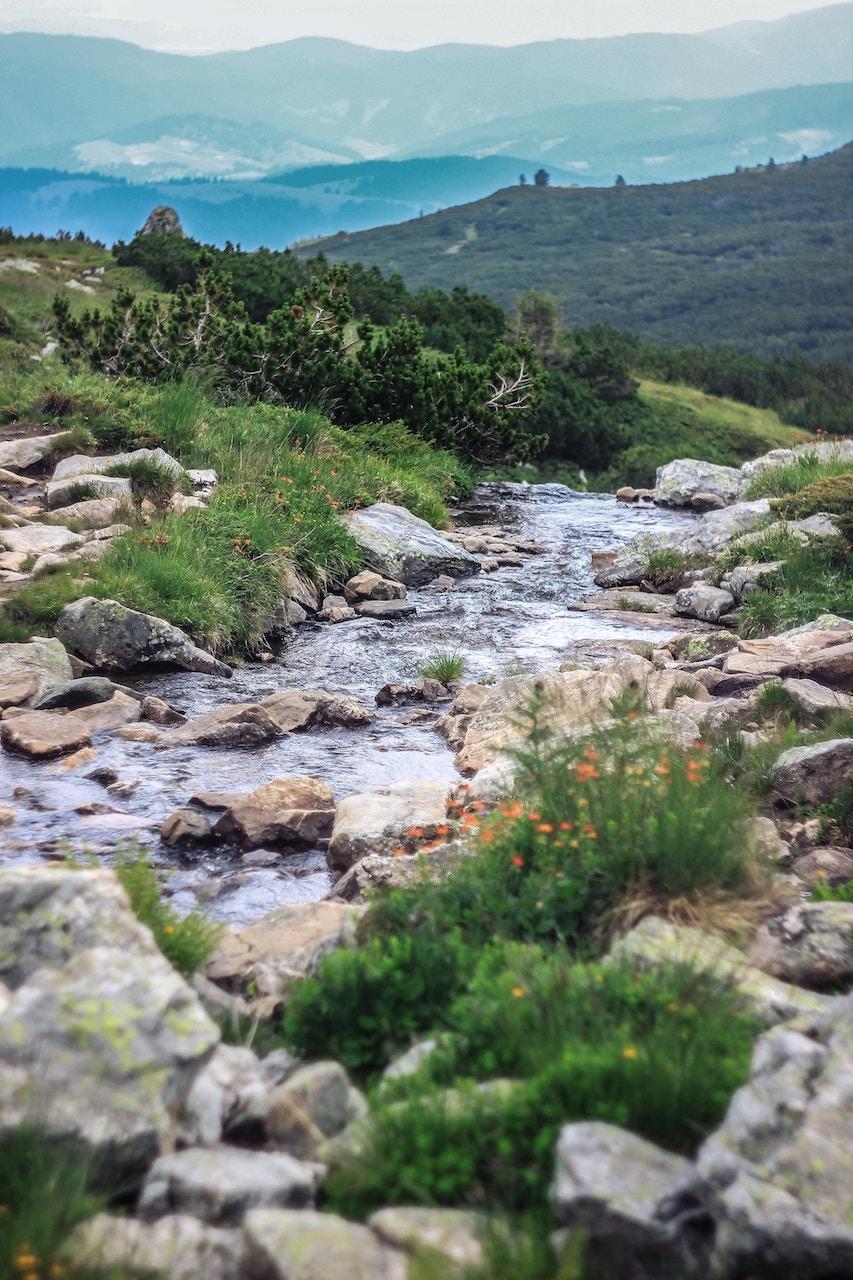 Babling Brook