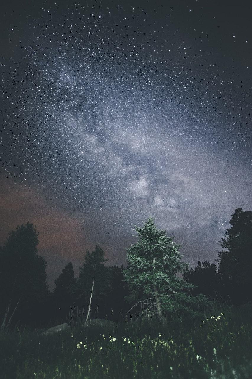 Night