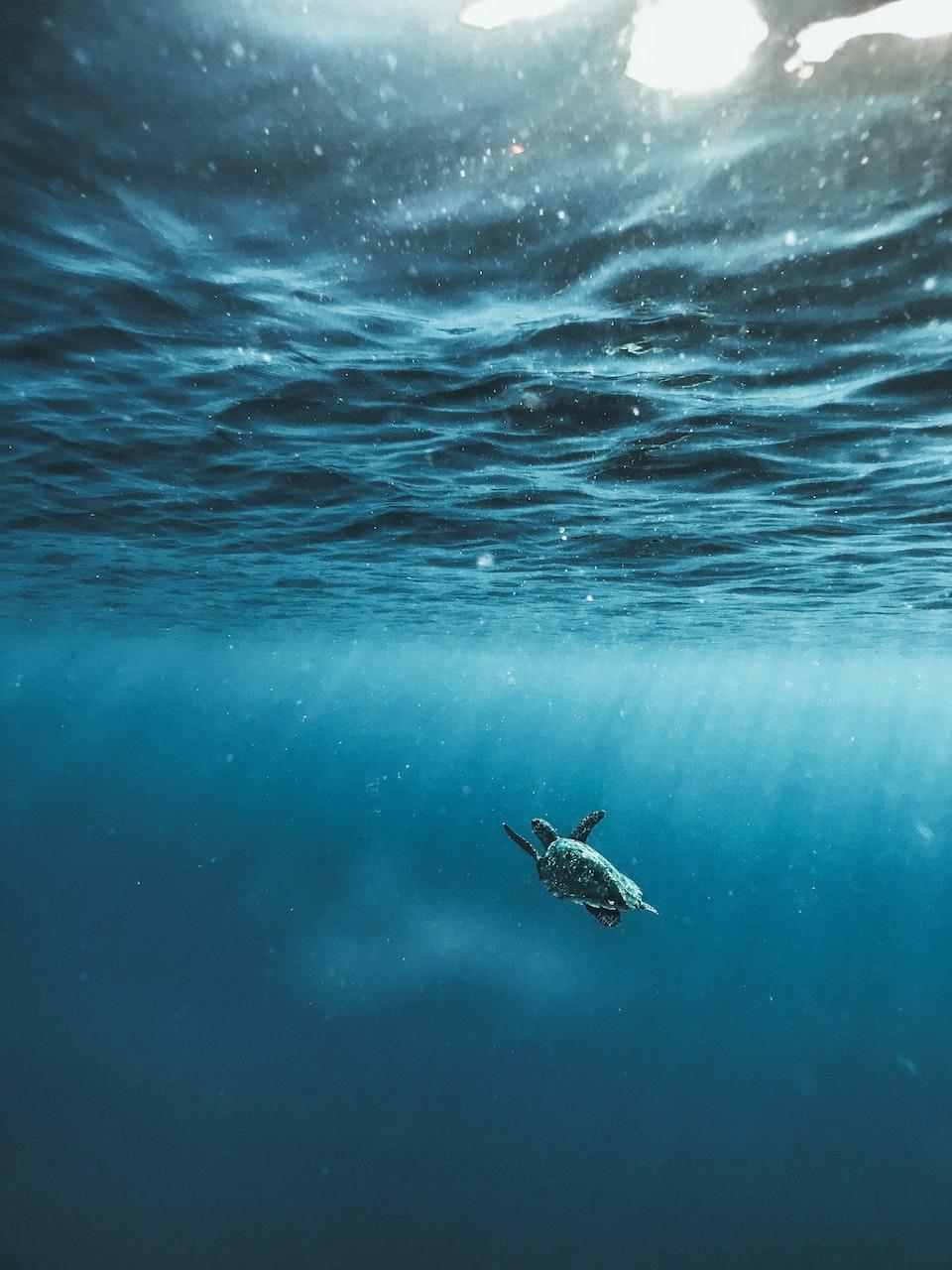 Depth. Underwater