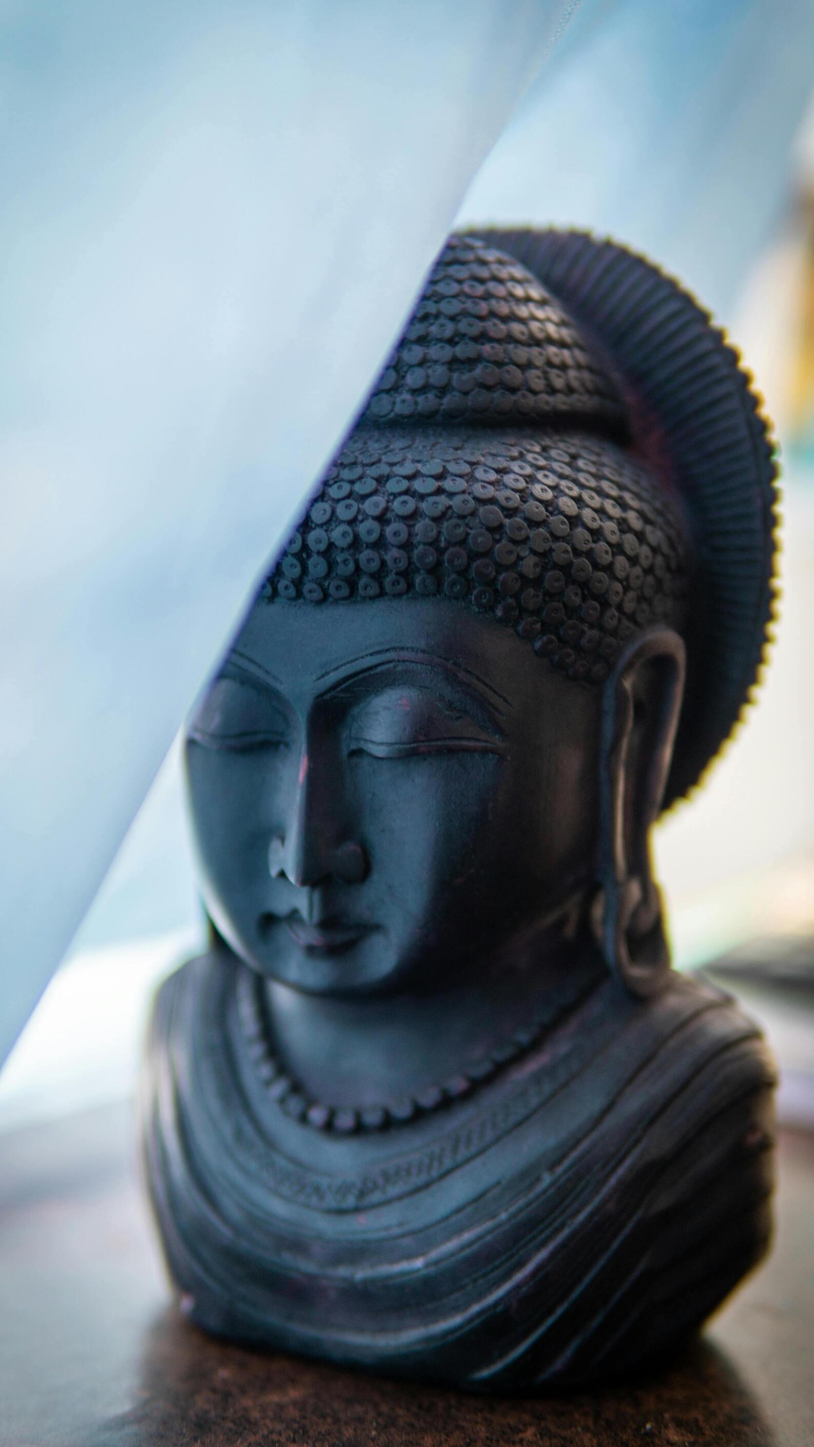 The Throat Chakra