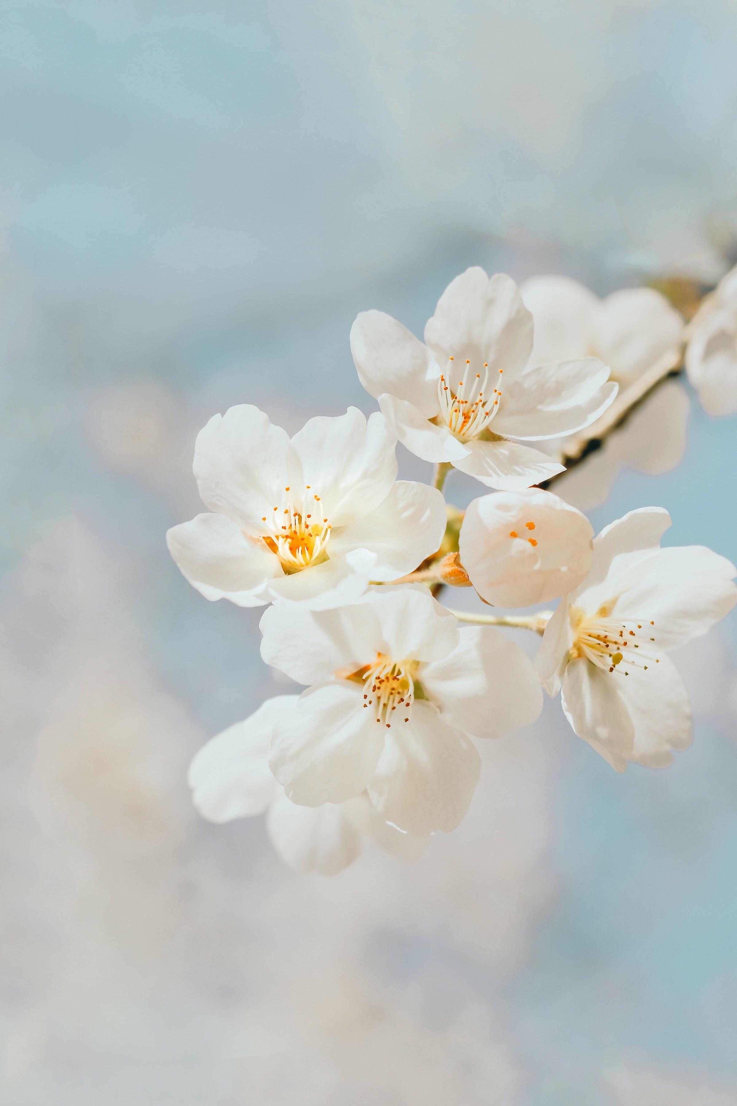 Total thankfulness - deep gratitude