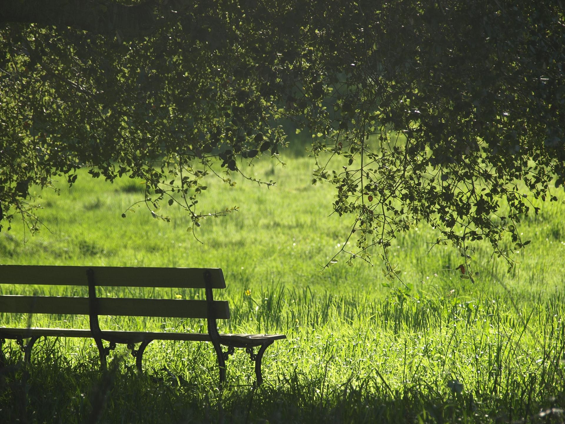 Relax the Mind in 10 minutes