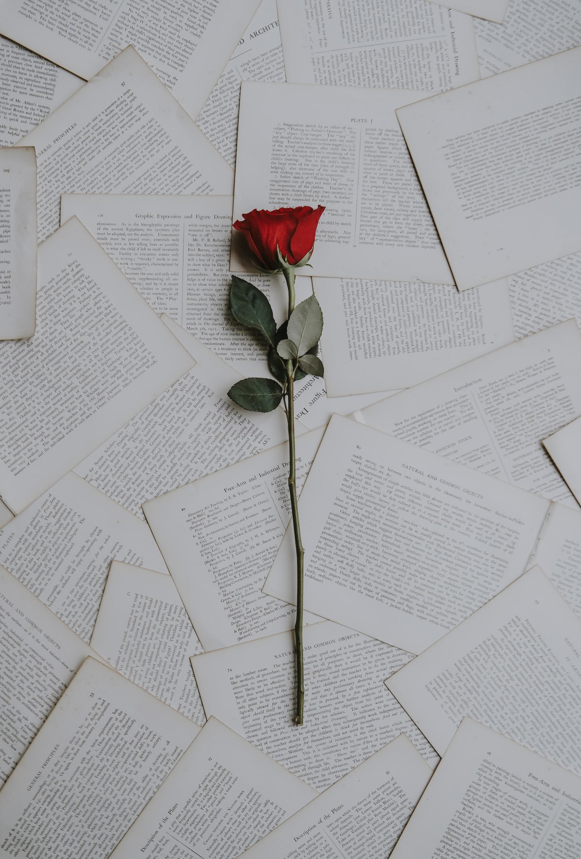 Love Letter to You