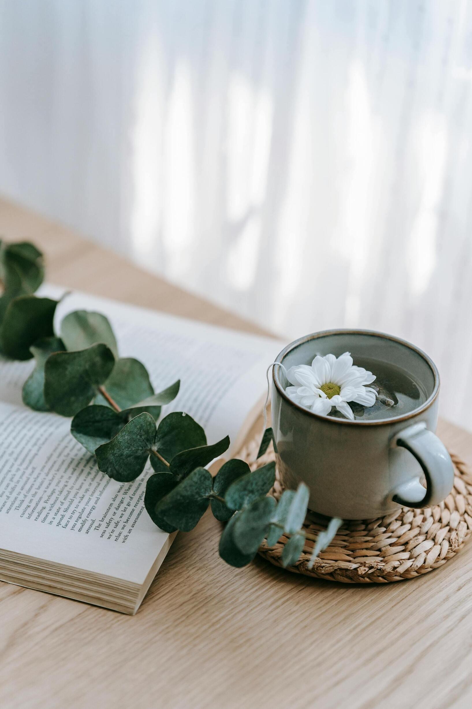 Mindfulness to Calm and Relax