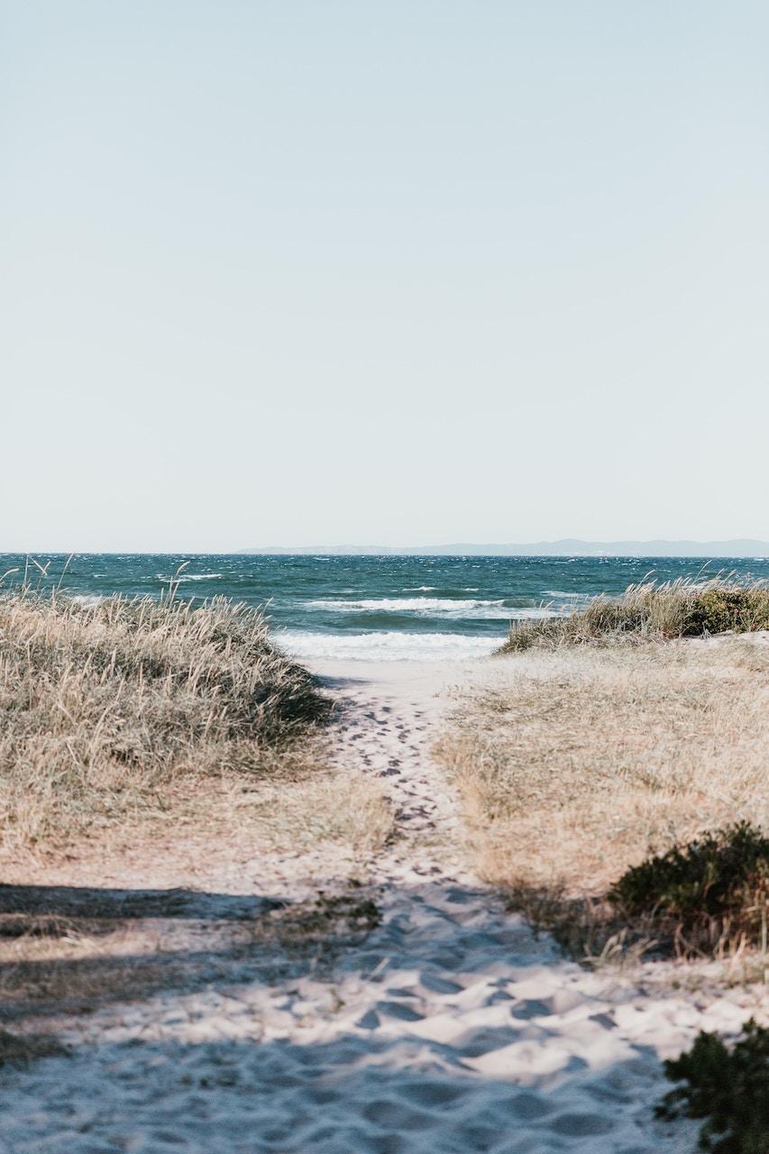 Self-Compassion and Self-Forgiveness