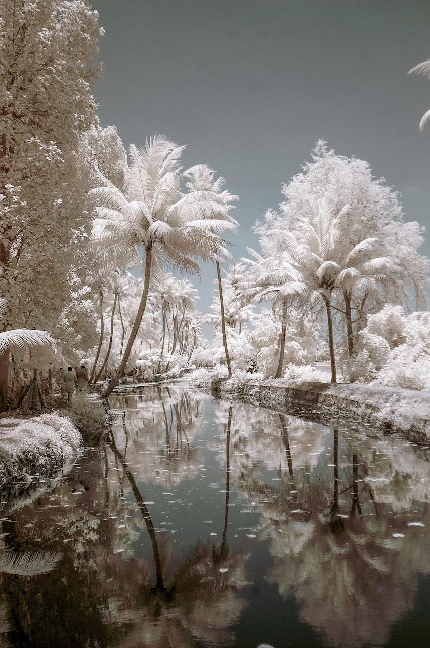 White Noise