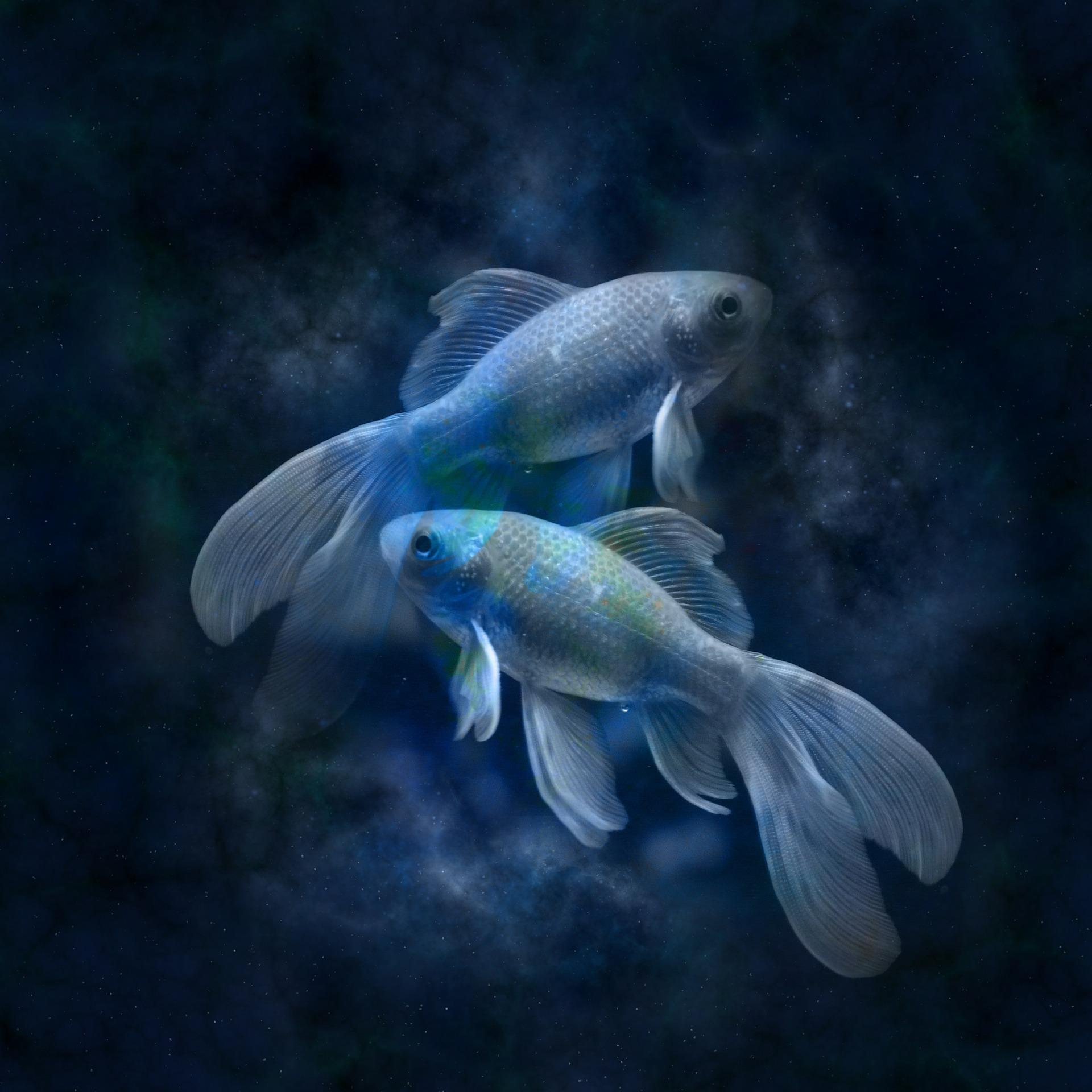 Illustration for Zodiac Energy