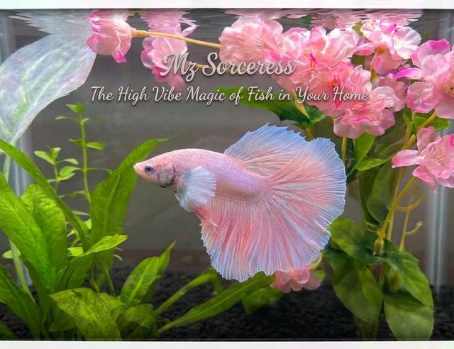 The High Vibe Magic of Fish in Your Home 🫧