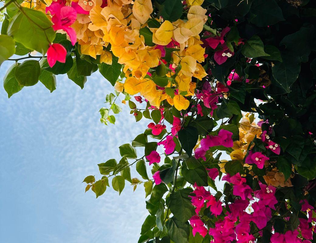 How to Attract and Maintain Positive Energy