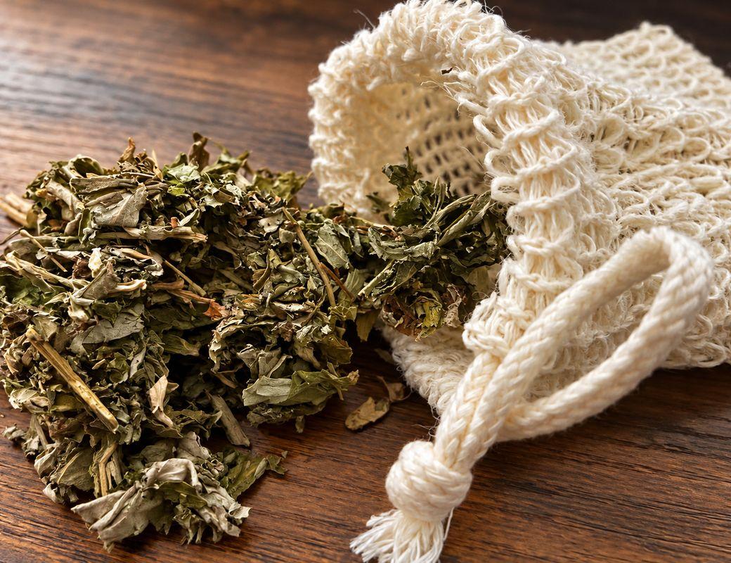 Mugwort and the Art of Dreaming