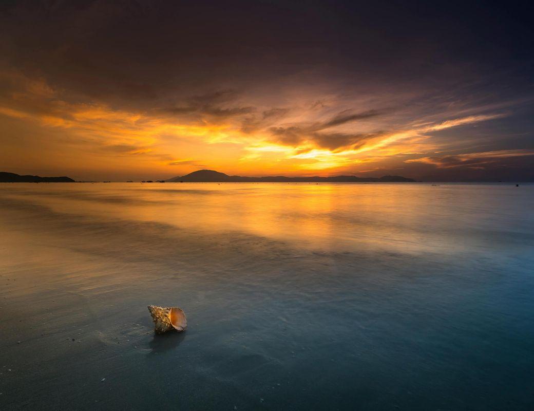 Start of Jupiter Retrograde in Cancer ๐ฆ