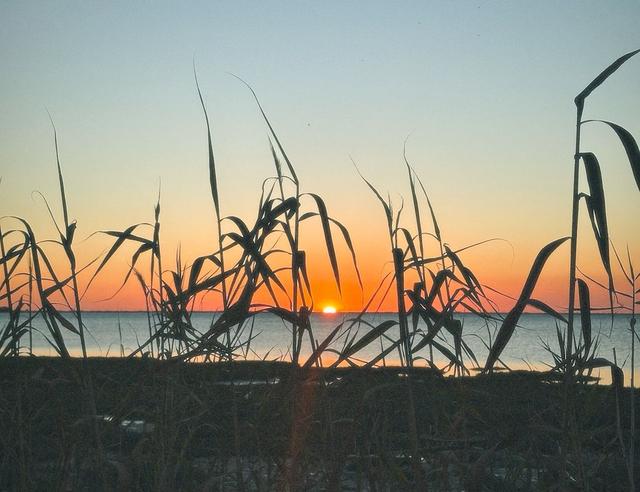 Mabon: The Ultimate Guide You've Been Looking For 🍂