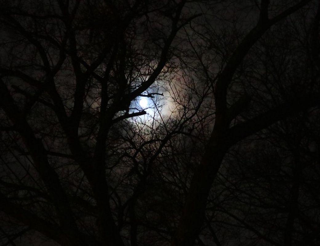 The Void of Course Moon