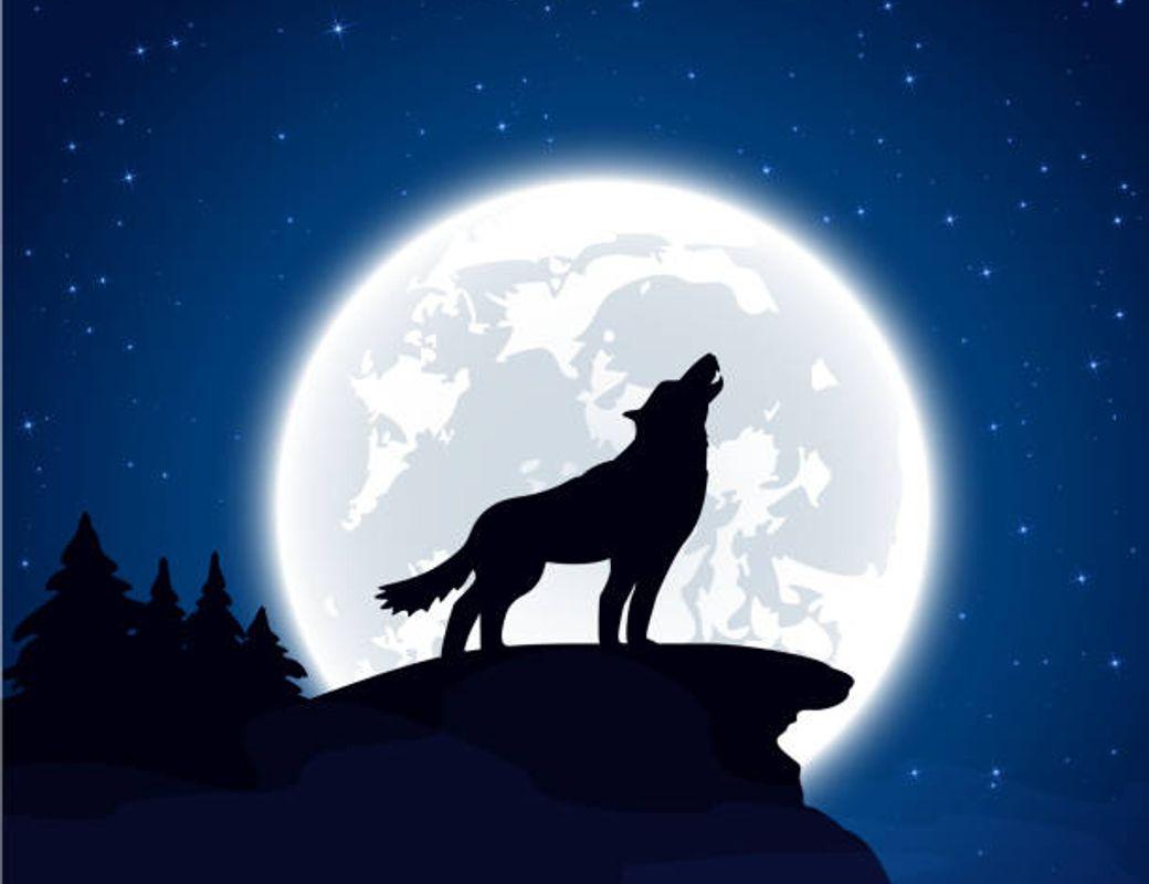 The Howl Beneath the Moon