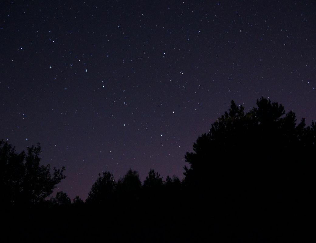 The Winter Night Sky