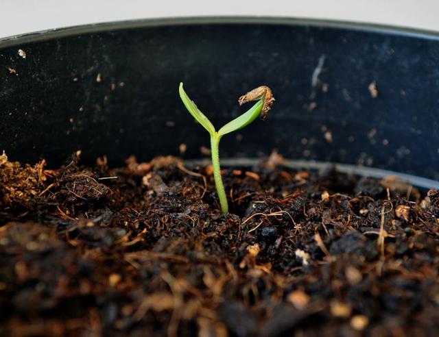 Spring Equinox Rituals: Simple Ways to Resurface