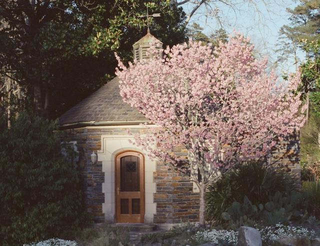 Spring Equinox Rituals for Rebirth