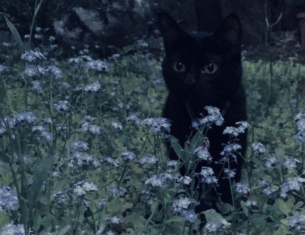 Magic and self-care