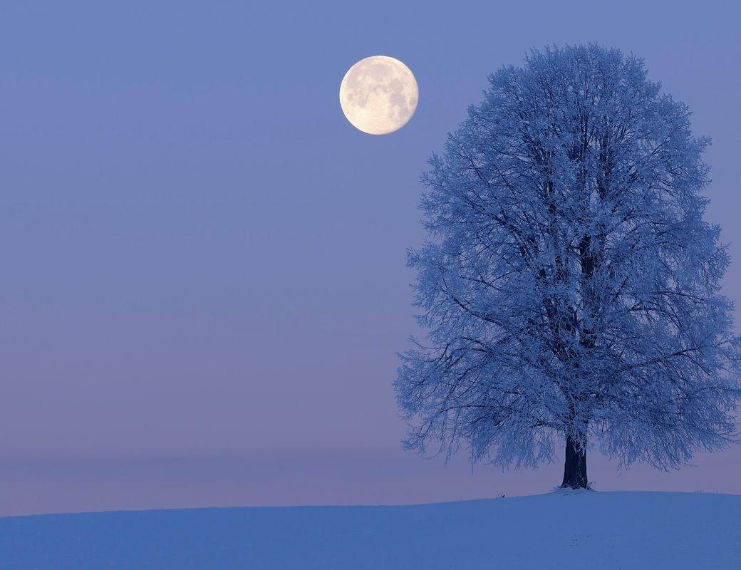 Illustration for The Cold Moon’s Quiet Invitation