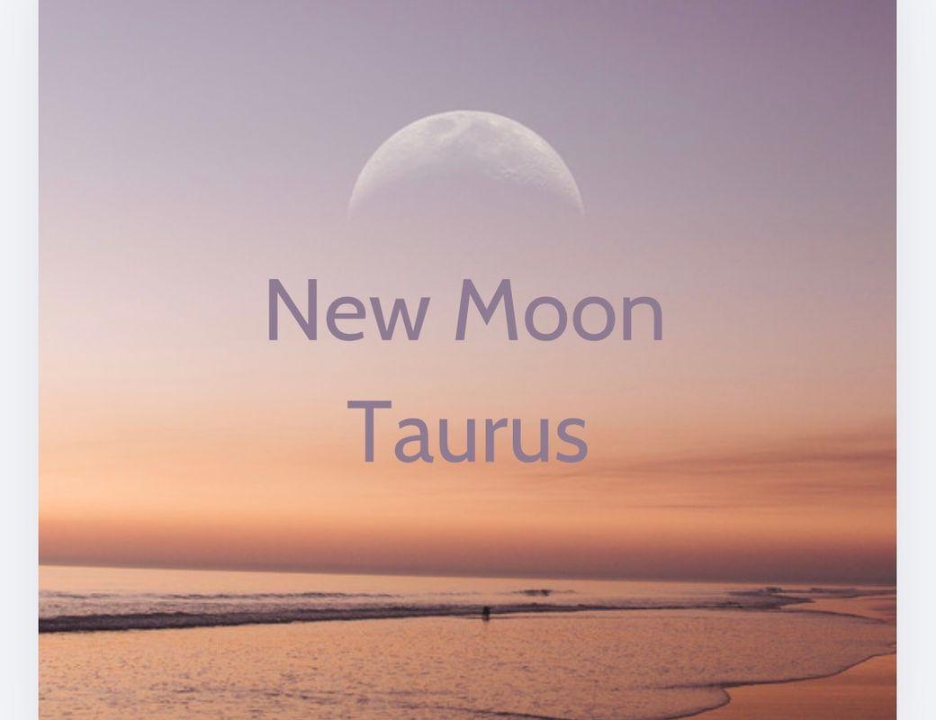 NEW MOON IN TAURUS
May 16, 2026 | Taurus | Gate 8