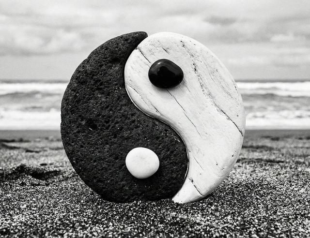 ☯ Yin and Yang