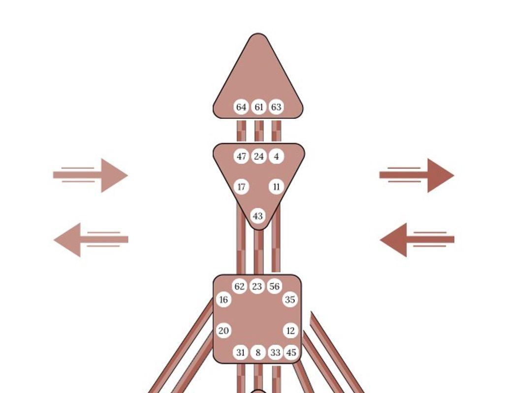 Illustration for The Human Design Primary Health System