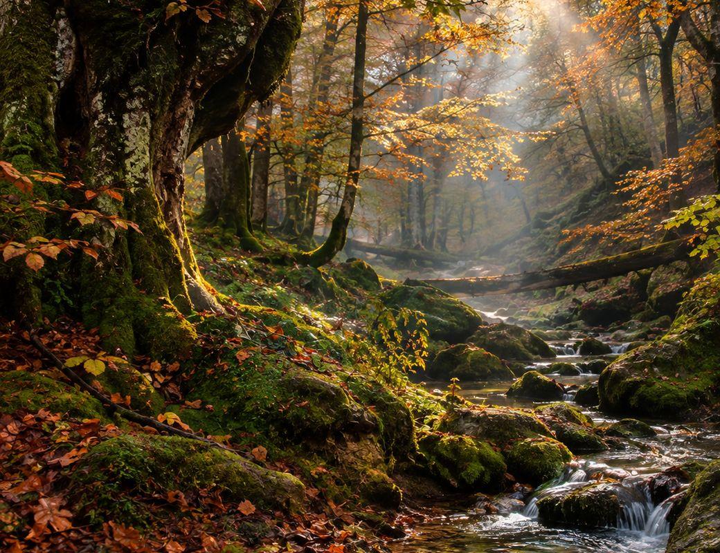 The Secret Spell of Autumn