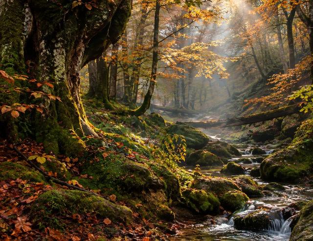 The Secret Spell of Autumn