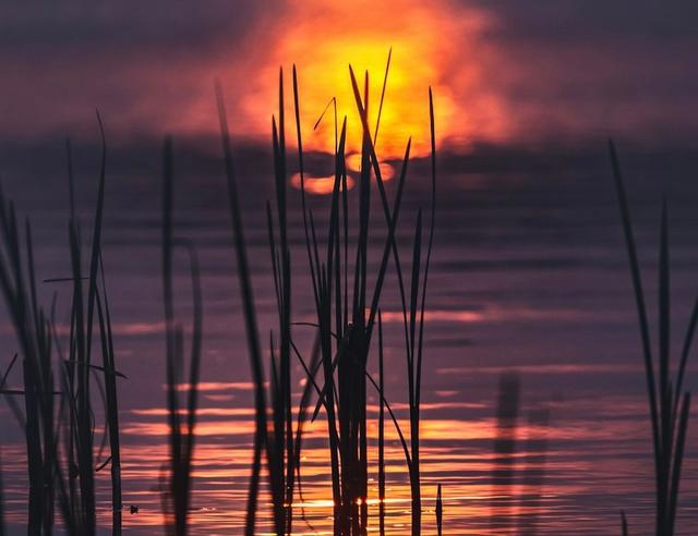 Gentle Rituals for Reflecting on the Month