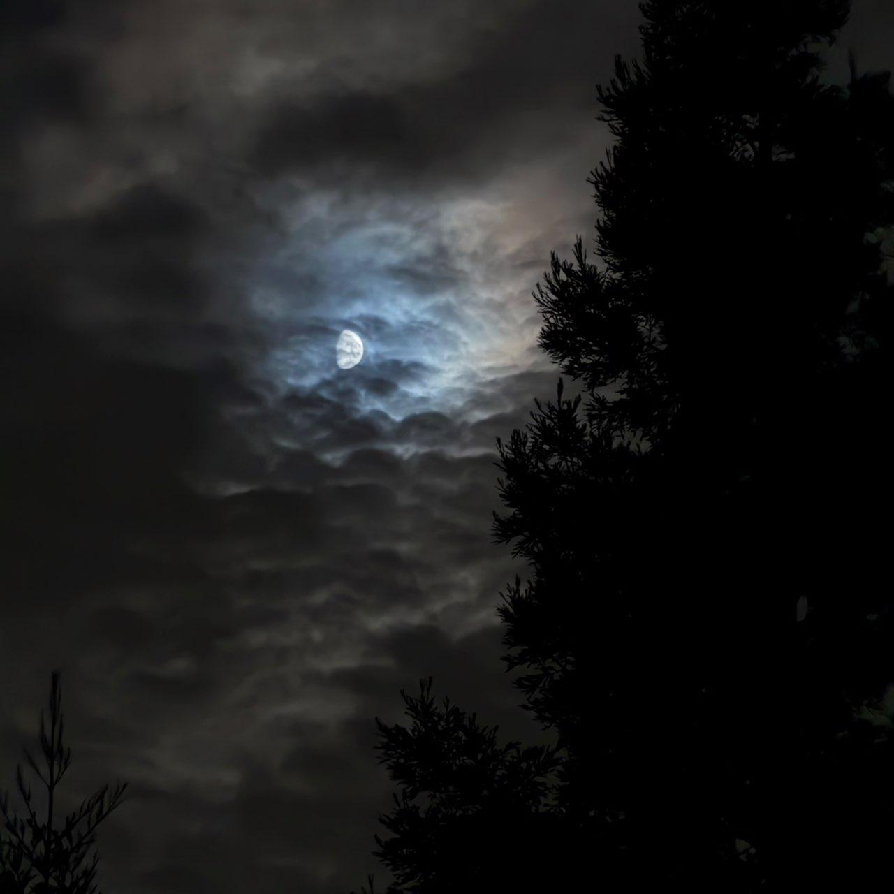 The Moon over Lodi, United States — waxing gibbous, Lunar Day 11