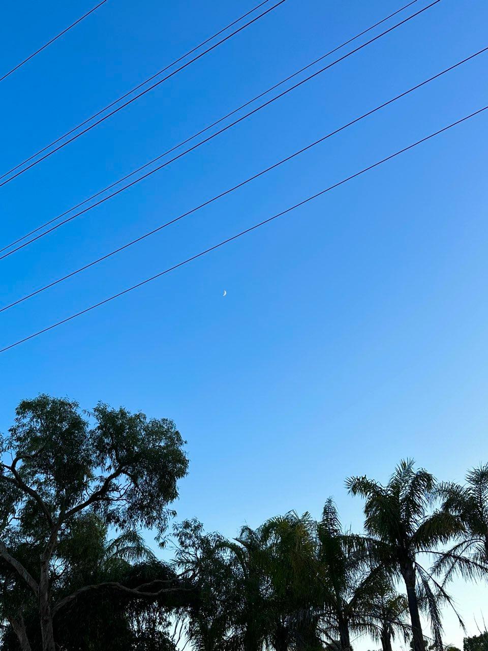 The Moon over Salisbury Heights, Australia — waning crescent, Lunar Day 24