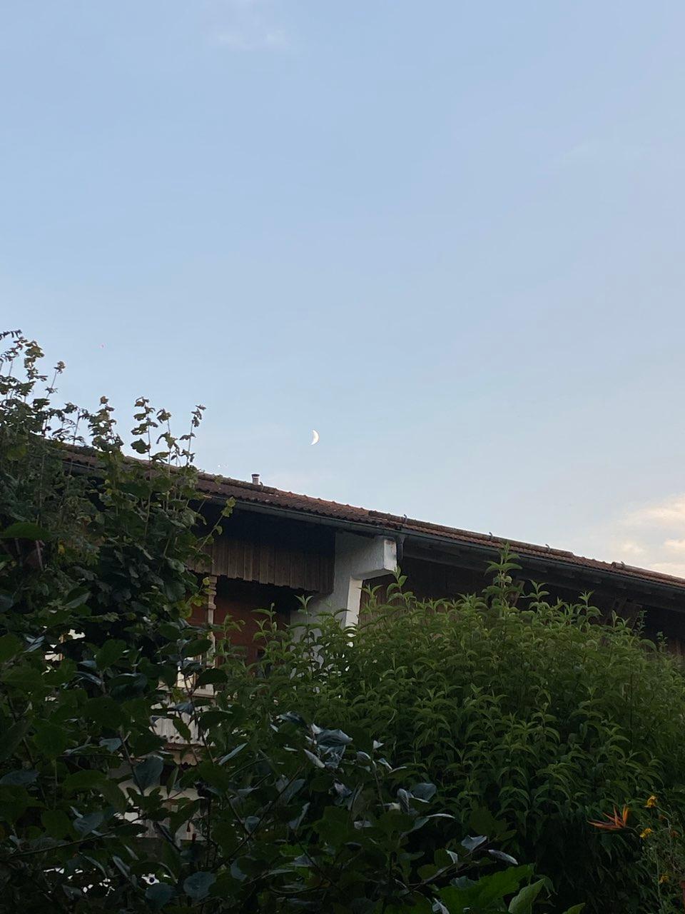 The Moon over Munich, Germany — first quarter, Lunar Day 7