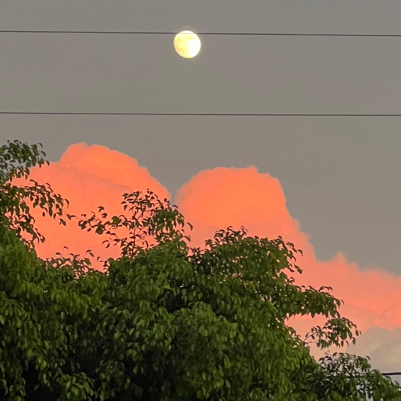 The Moon over Norwalk, United States — waxing gibbous, Lunar Day 14