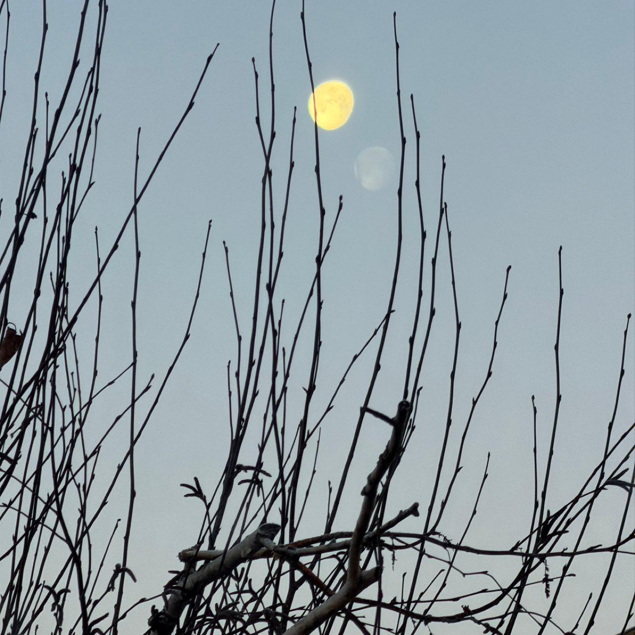 The Moon over Dagenham, United Kingdom — waning gibbous, Lunar Day 18