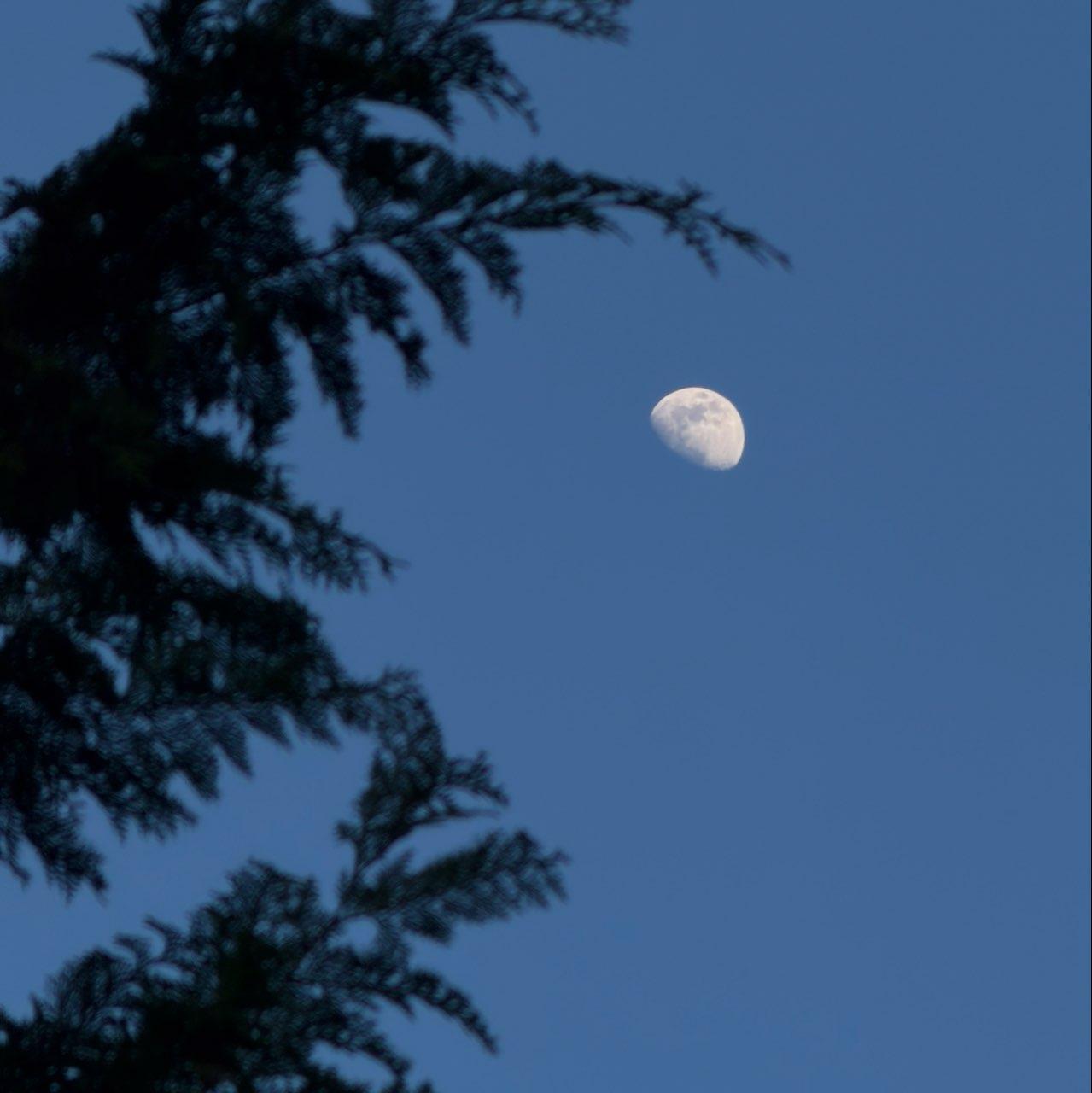 The Moon over Altendorf, Schweiz — waxing gibbous, Lunar Day 10