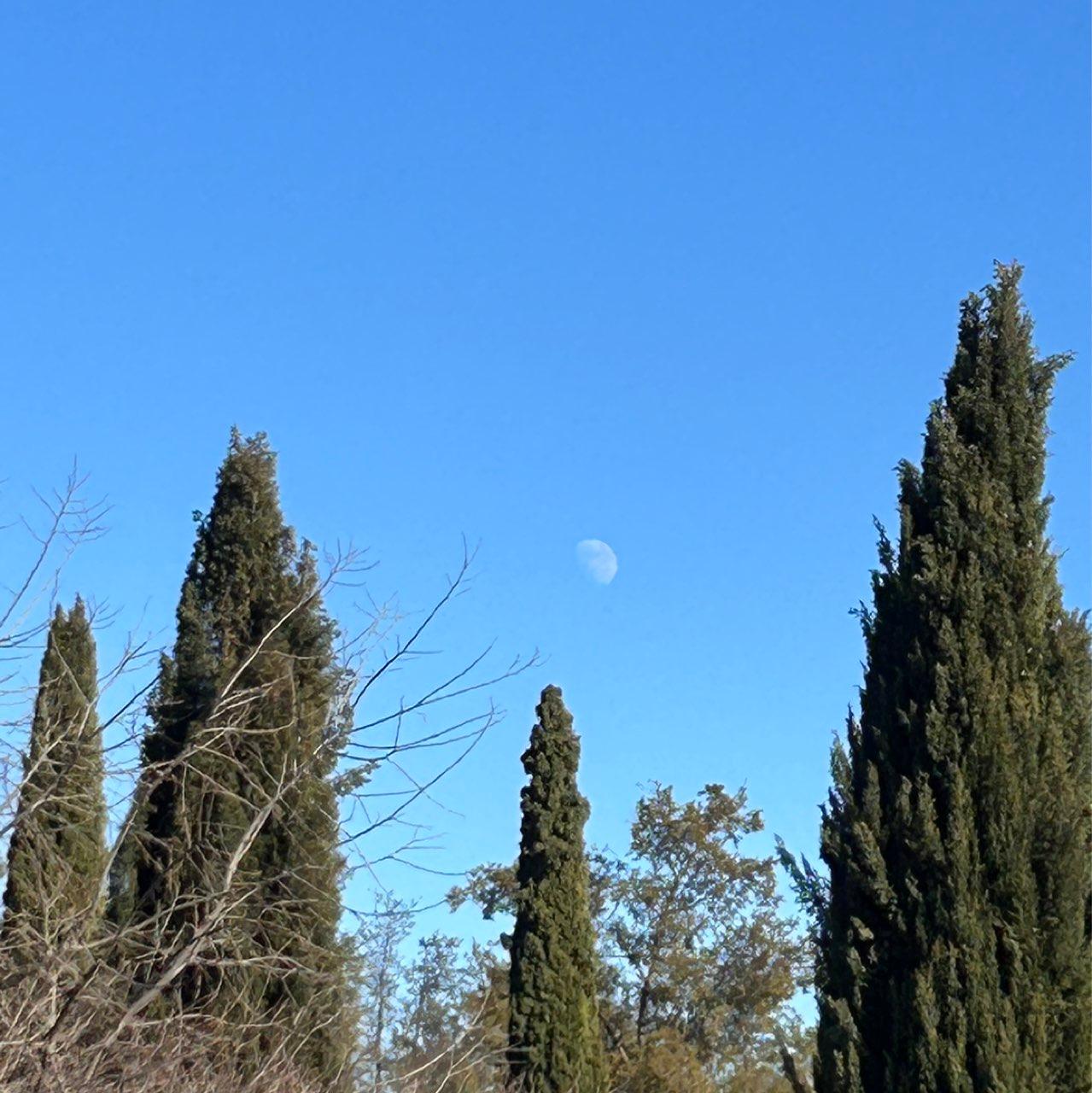 The Moon over Badajoz, España — waxing gibbous, Lunar Day 10