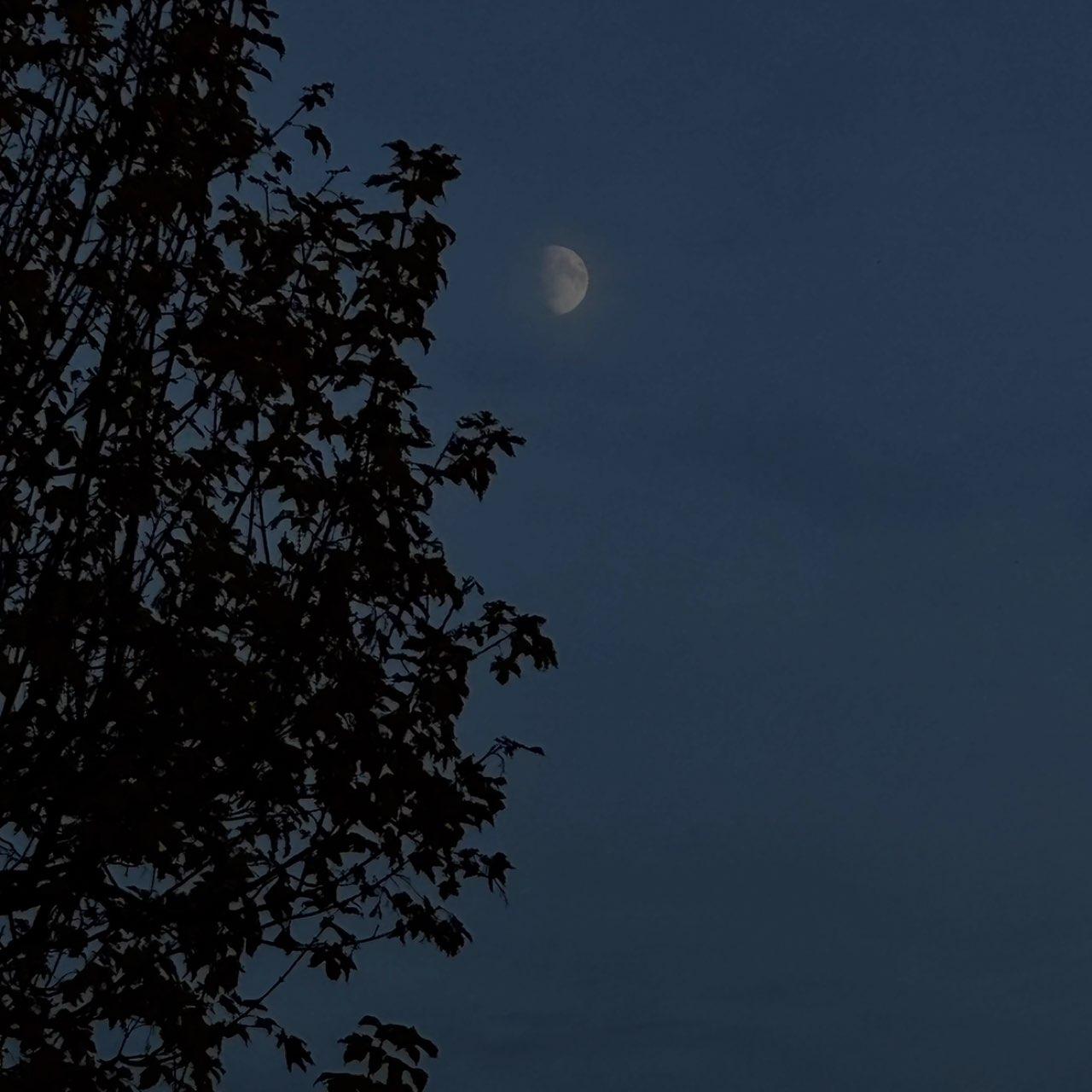 The Moon over Arnegg, Schweiz — waxing gibbous, Lunar Day 11