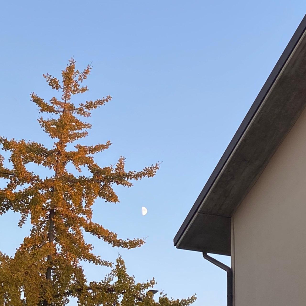 The Moon over Brescia, Italia — first quarter, Lunar Day 10