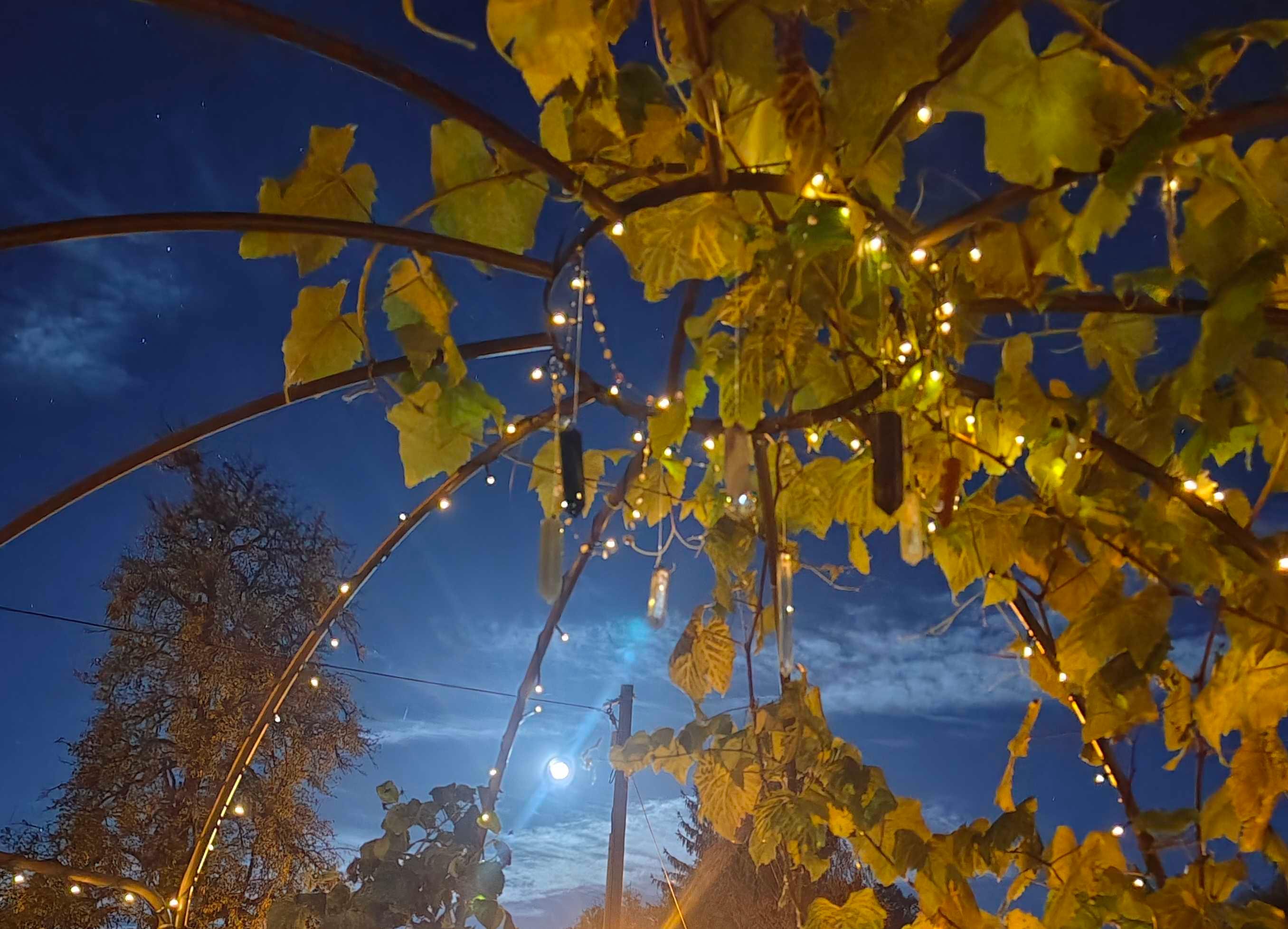 The Moon over Uhlstädt-Kirchhasel, Deutschland — waning gibbous, Lunar Day 18