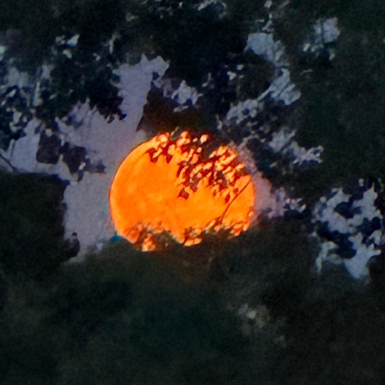 The Moon over Dagenham, United Kingdom — full moon, Lunar Day 16