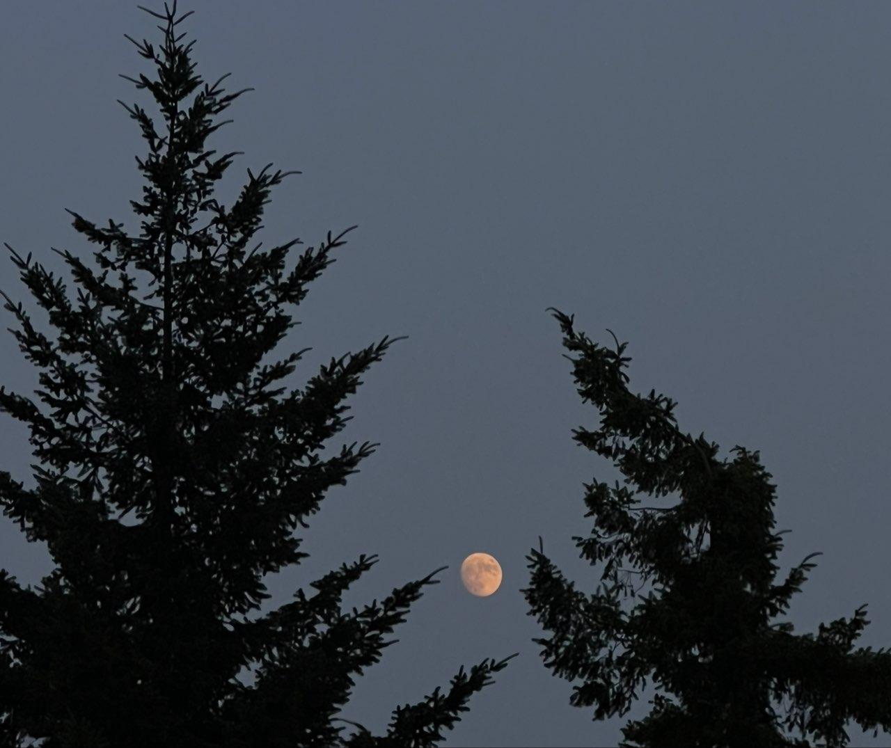 The Moon over Puteaux, France — waxing gibbous, Lunar Day 14