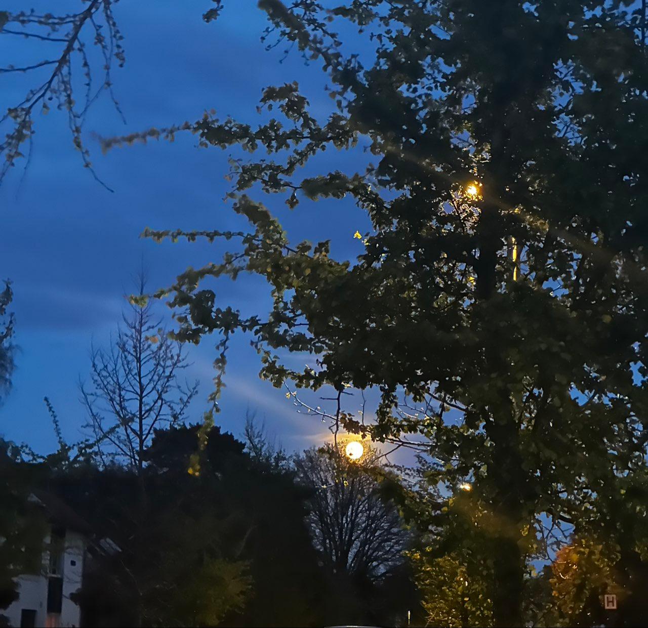 The Moon over Kraainem, Belgium — full moon, Lunar Day 15