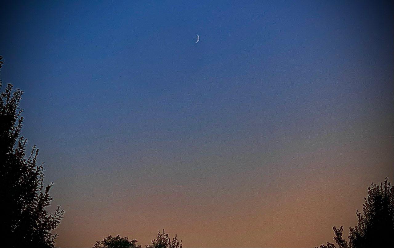 The Moon over Kornwestheim, Deutschland — first quarter, Lunar Day 7