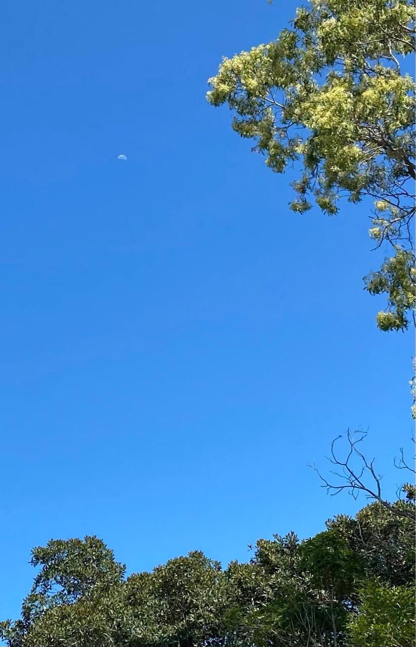 The Moon over Berowra Heights, Australia — last quarter, Lunar Day 23