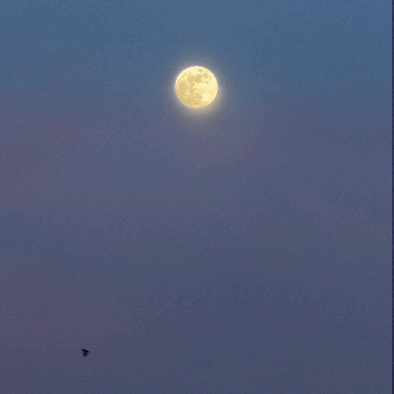 The Moon over Toulouse, Francia — full moon, Lunar Day 14