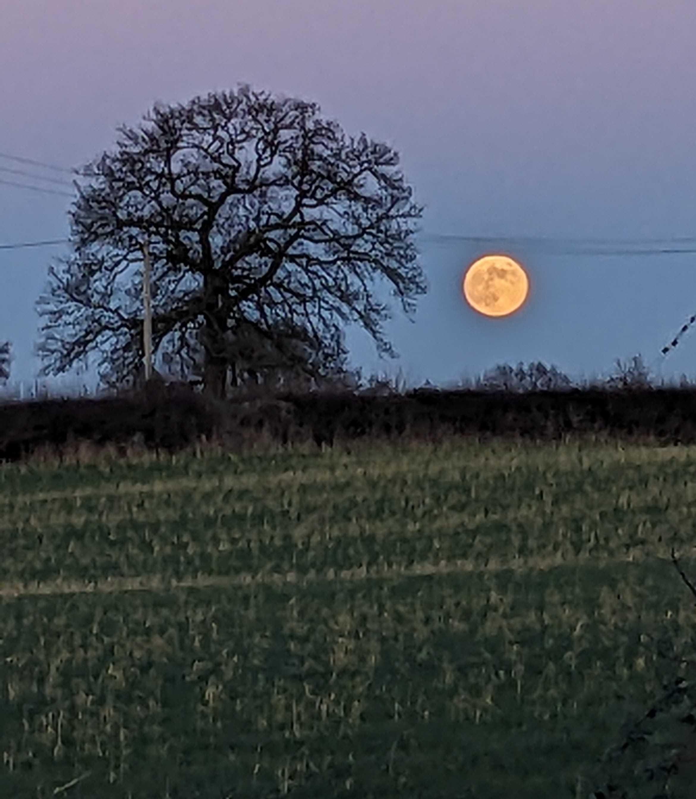 The Moon over United Kingdom — full moon, Lunar Day 16