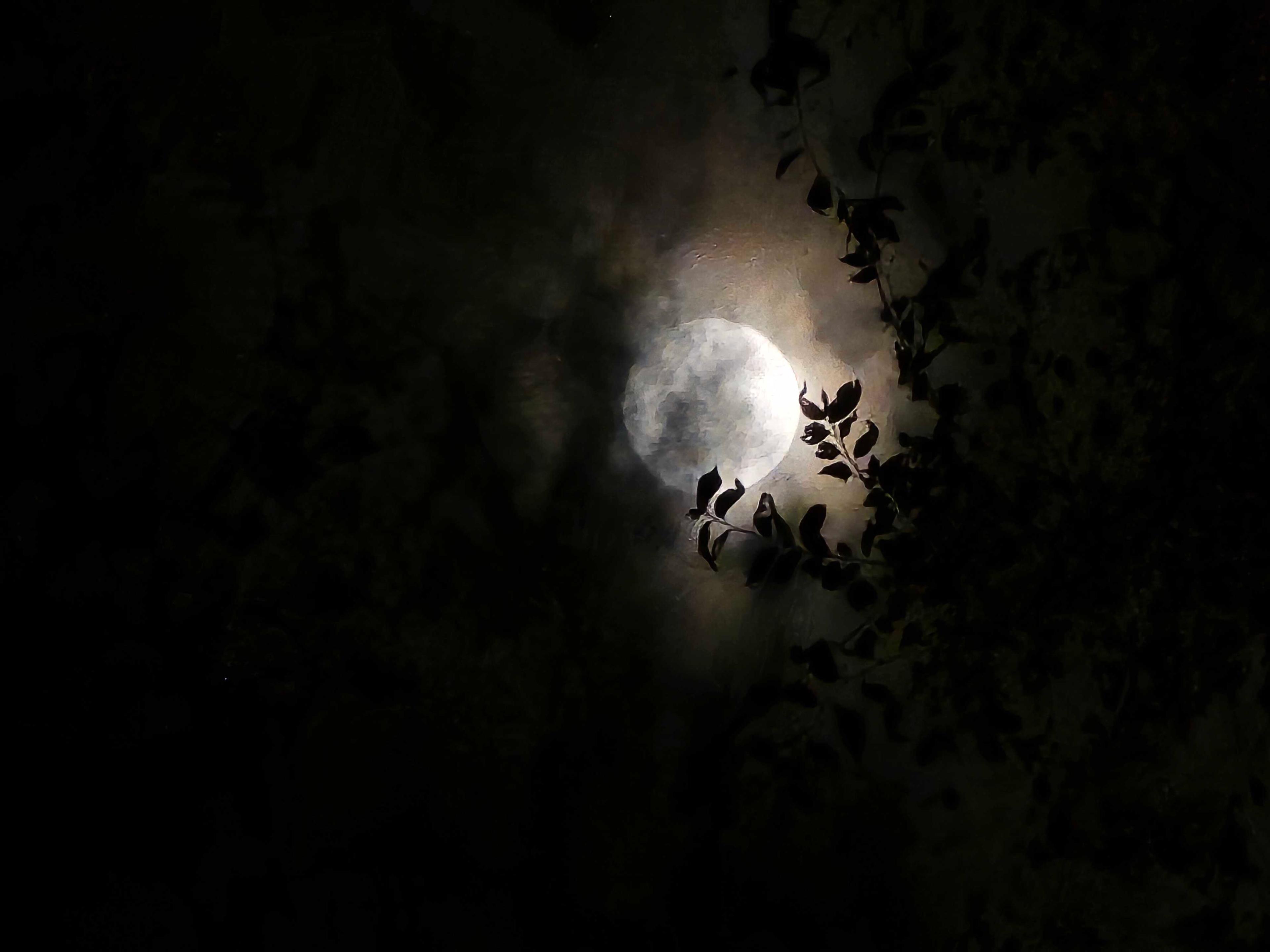 The Moon over Montreal, Canada — full moon, Lunar Day 16
