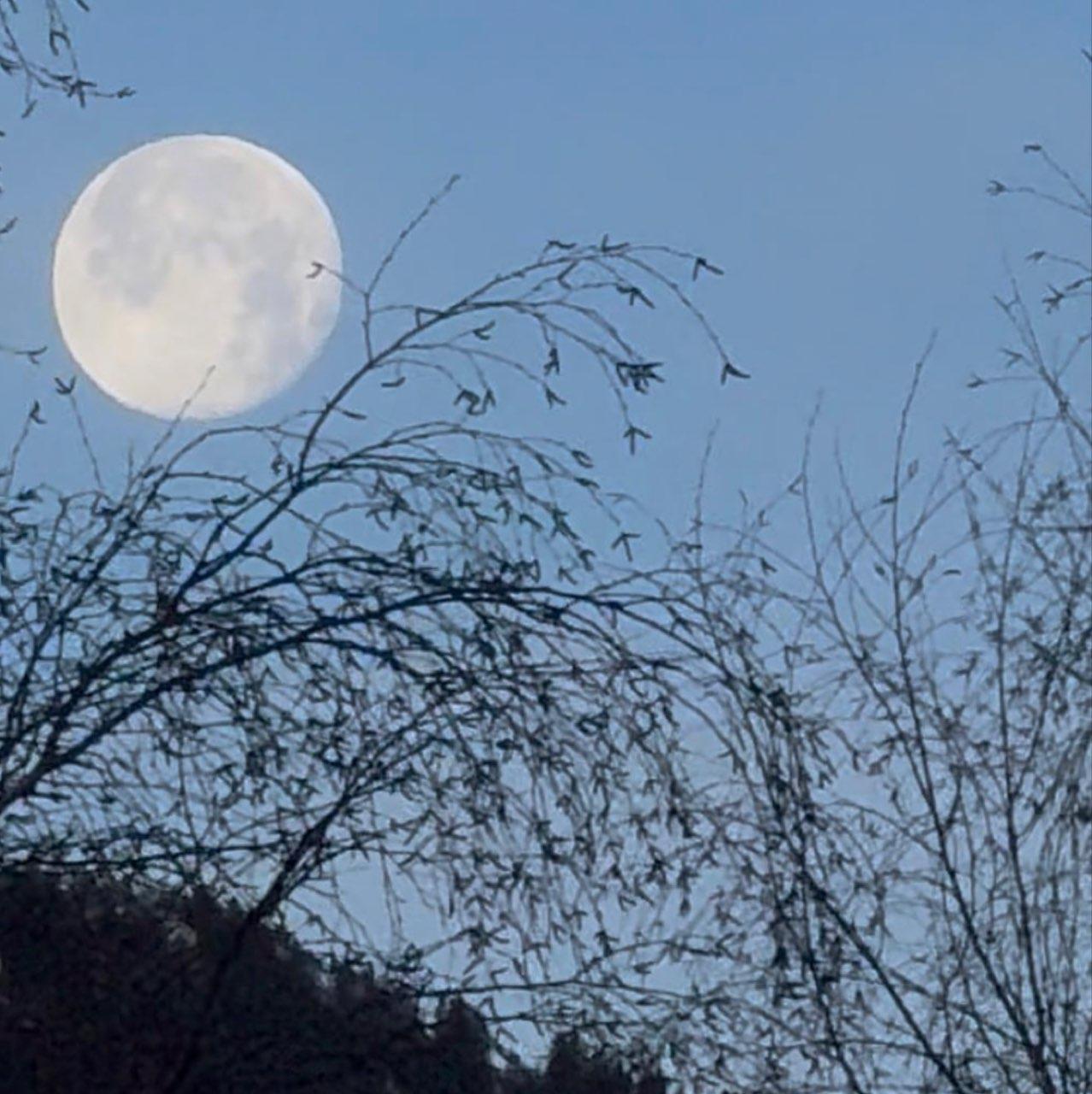 The Moon over Ennetbürgen, Schweiz — waning gibbous, Lunar Day 18