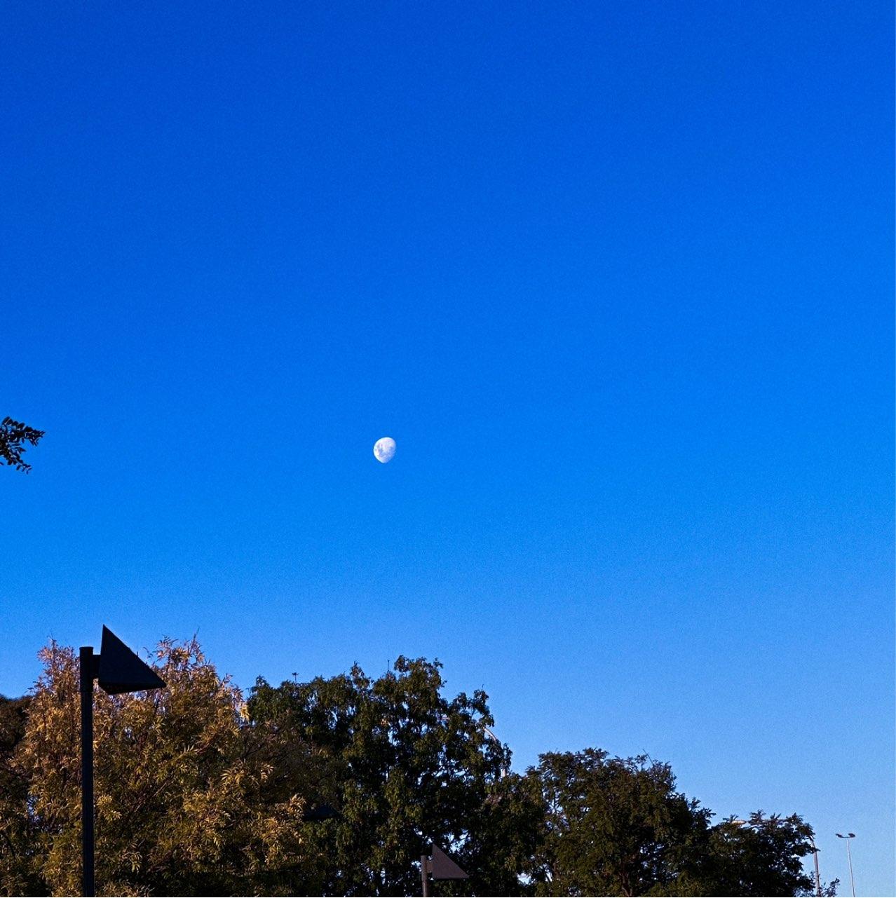 The Moon over Adelaide, Australia — waxing gibbous, Lunar Day 12